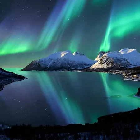 Aurora Borealis Observatory منتجع Silsand