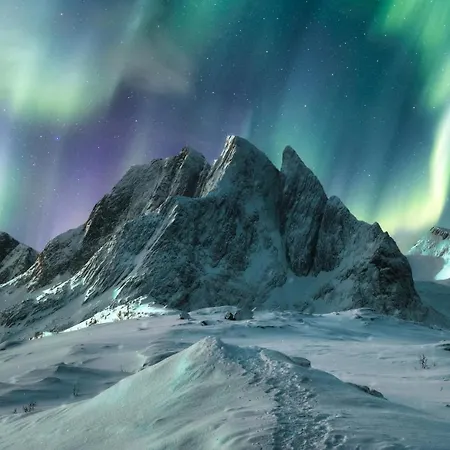 Aurora Borealis Observatory منتجع