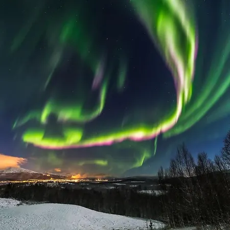 Aurora Borealis Observatory Silsand