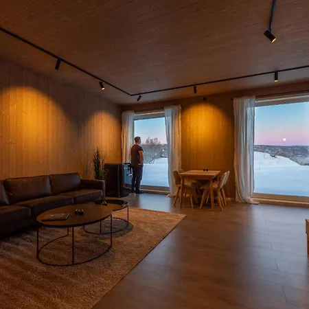 Aurora Borealis Observatory Resort